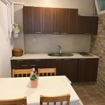 Xenia Хайдусобосло